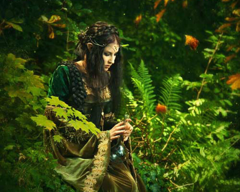 Elf Woman in Forest — Green, Serene, Afternoon, Digital Art, Bottle