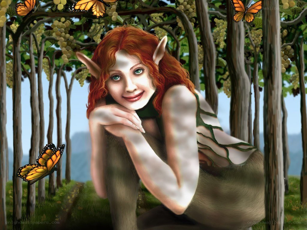 elf woman in vineyard