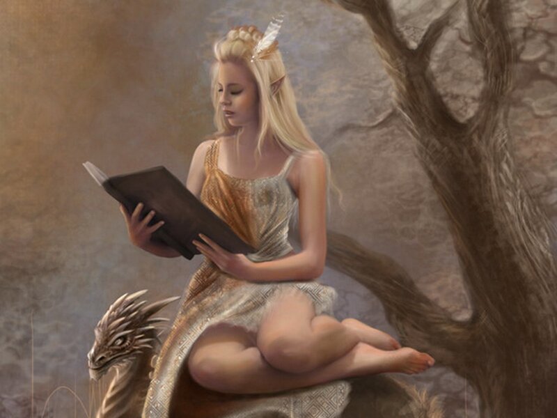 Elf Woman Reading Book