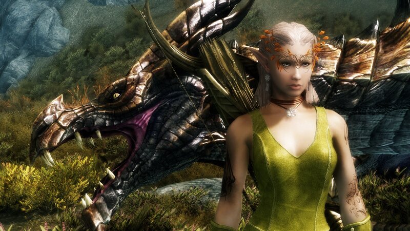 elf woman with dragon companion