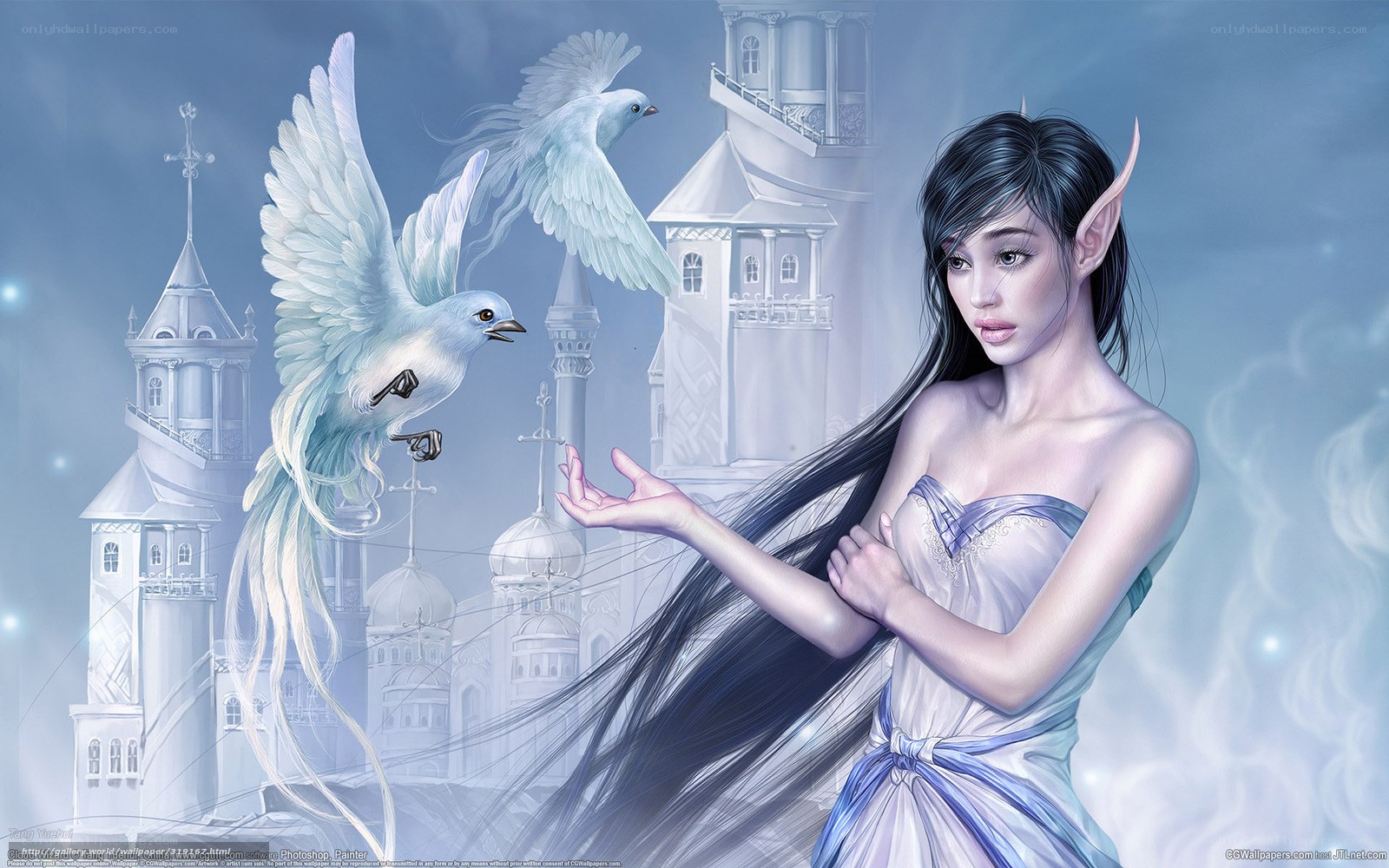 elf woman with white birds