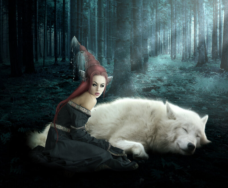 Elf Woman with White Wolf — Black