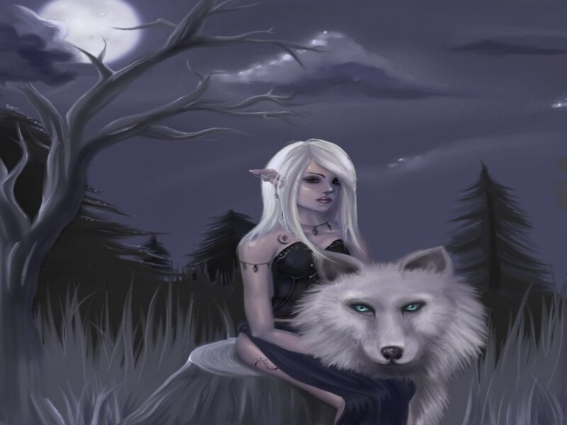 Elf Woman with White Wolf — Gray