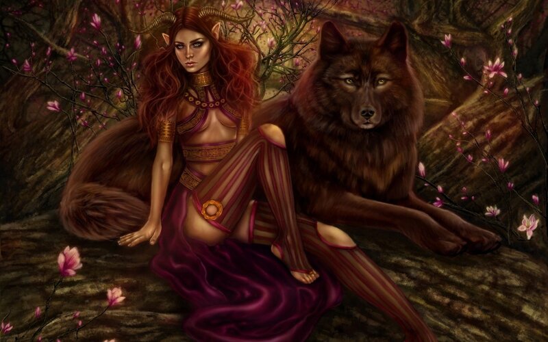 elf woman with wolf companion