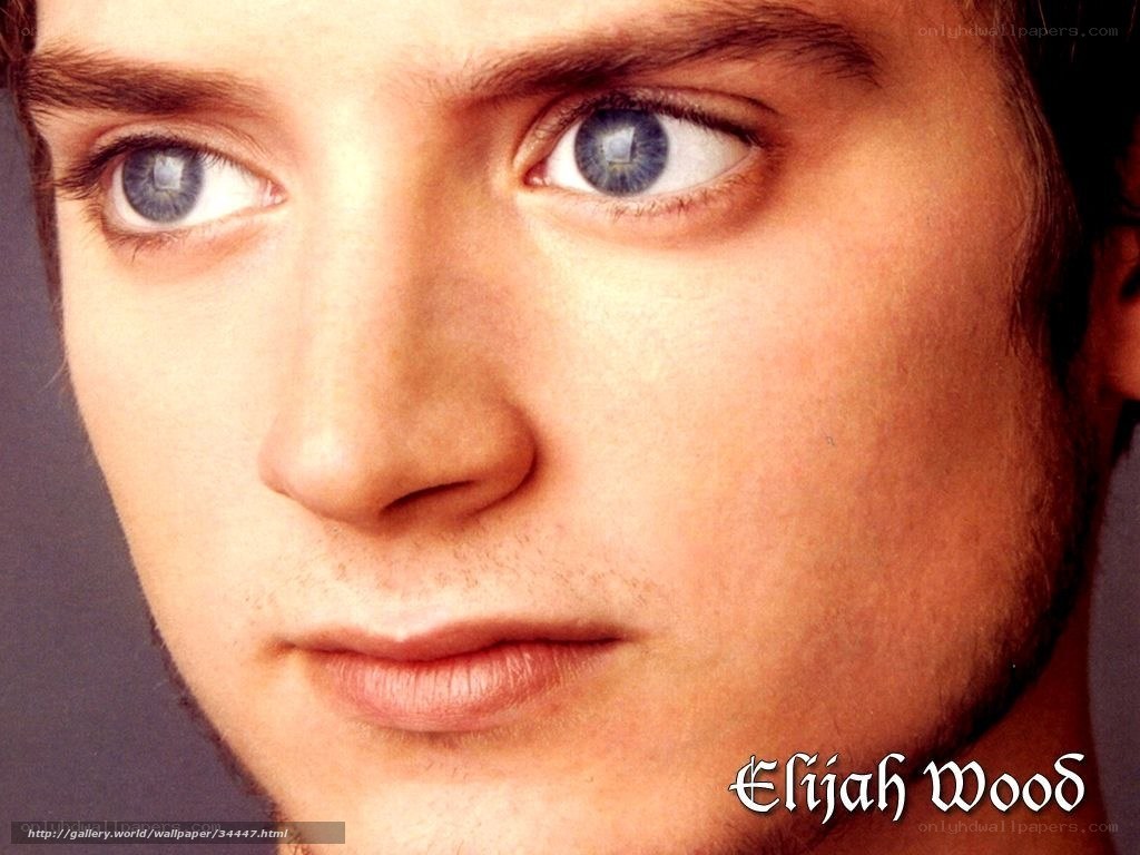 Elijah Wood close-up portrait