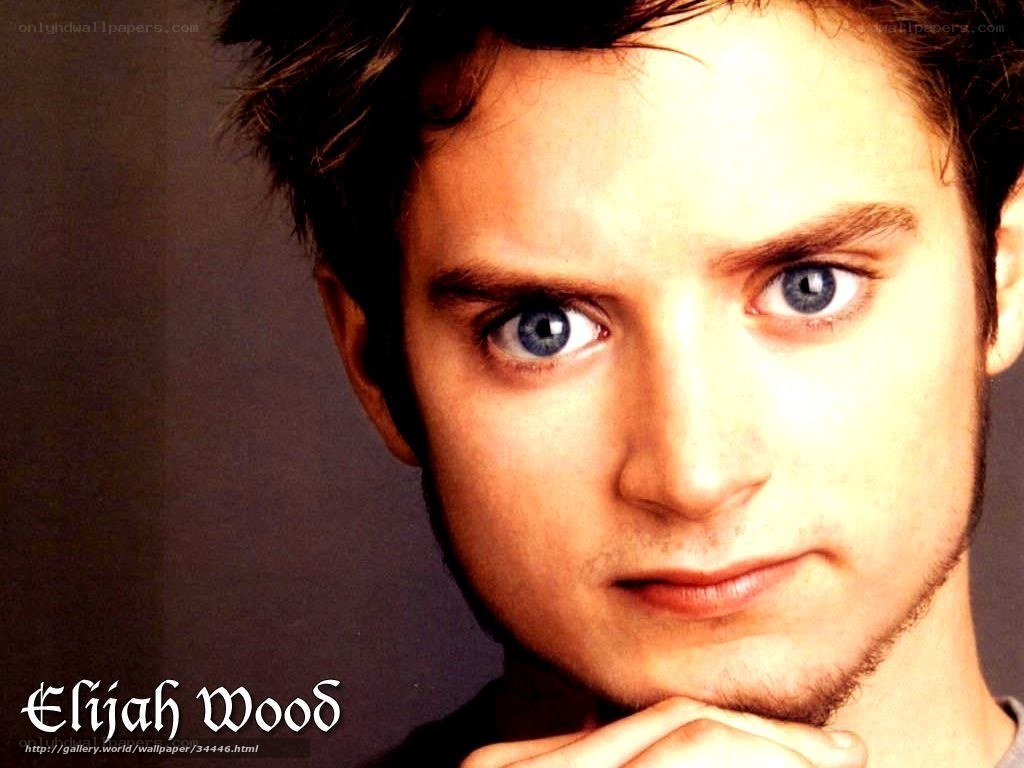 Elijah Wood portrait