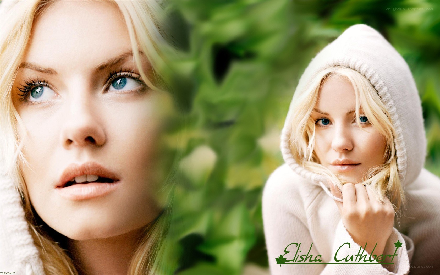 Elisha Cuthbert in a white hoodie