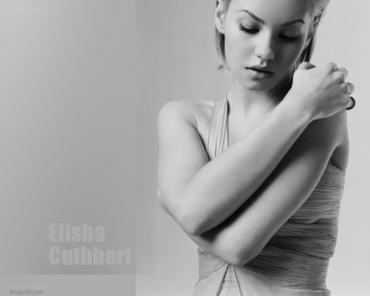 Elisha Cuthbert portrait