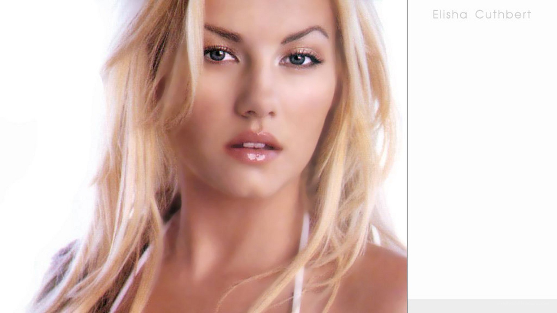 Elisha Cuthbert portrait
