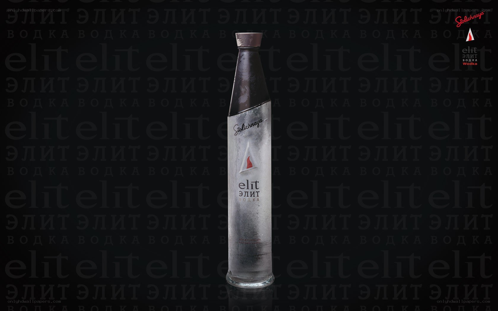 Elit Vodka bottle on dark background