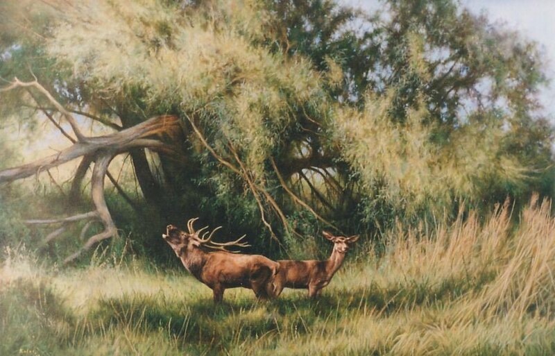 Elk and Deer in Field