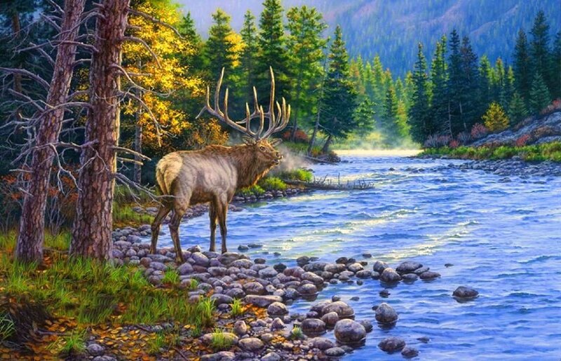 Elk by Riverbank