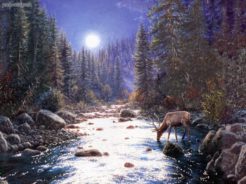 Elk Drinking from Stream — Blue