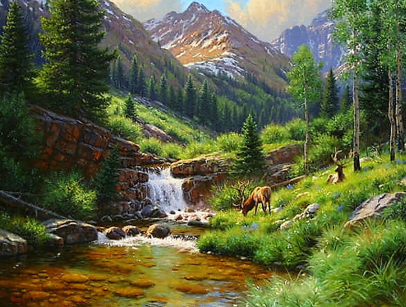 Elk Drinking from Stream — Green