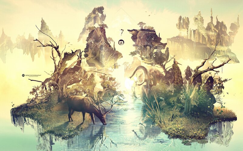 Elk Drinking Water — Yellow