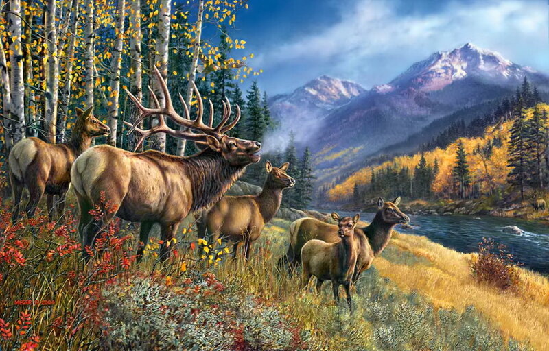 Elk Herd in Autumn