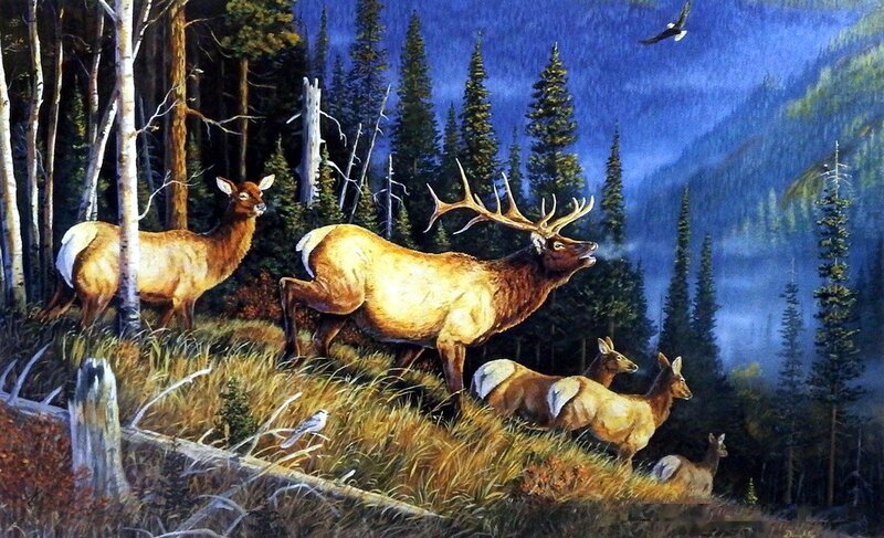 Elk Herd in Forest — Blue