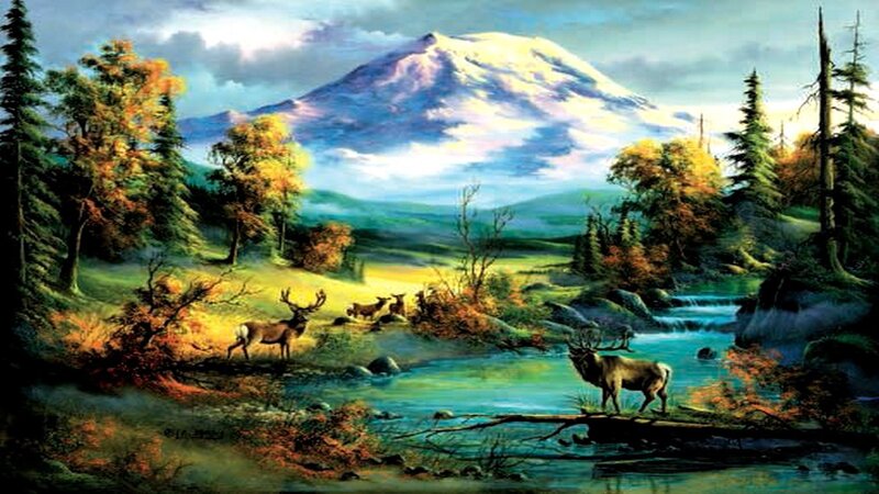 Elk Herd in Forest