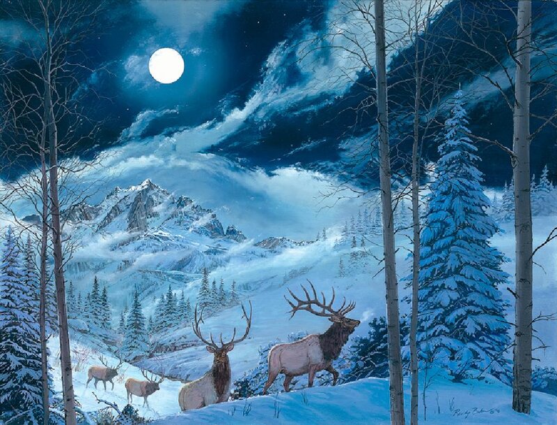 Elk Herd in Snow