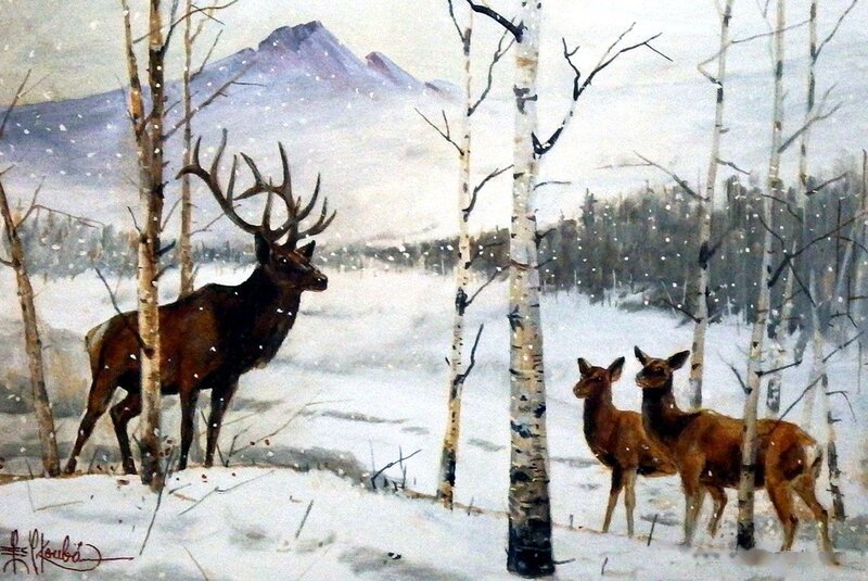 Elk Herd in Snow — White, Serene, Winter