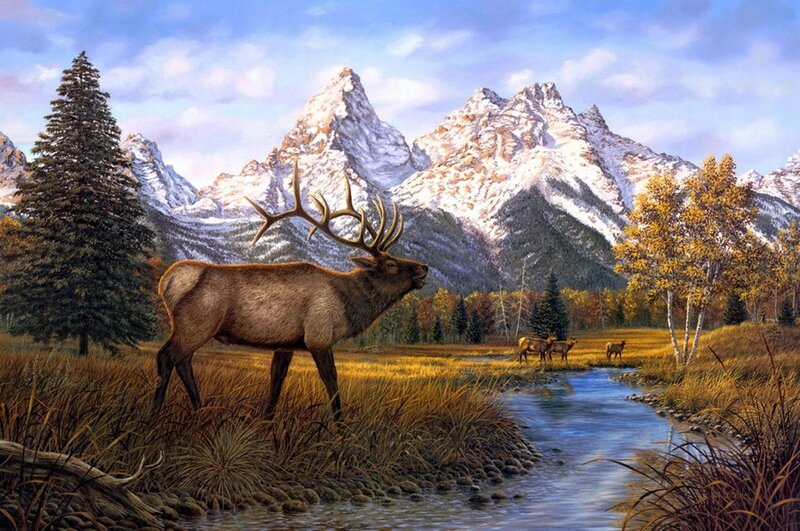 Elk in Autumn Field — Brown