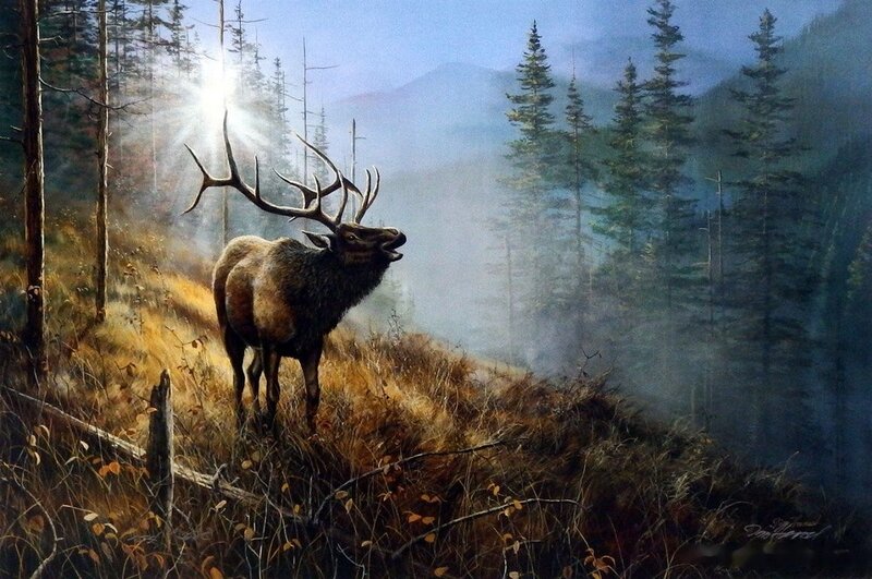 Elk in Forest — Green, Dramatic