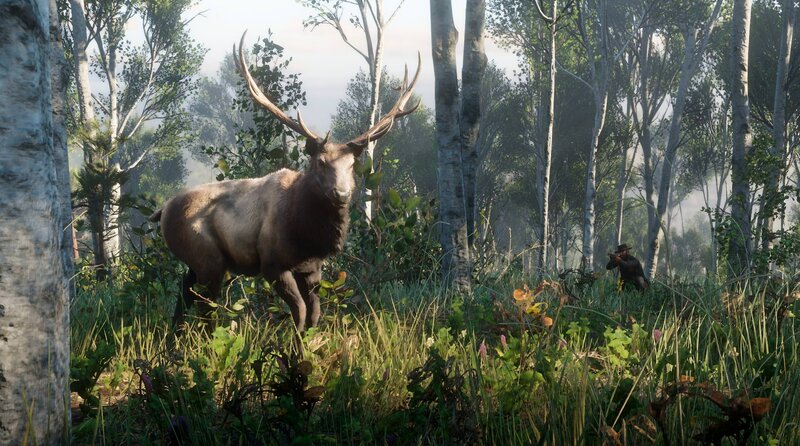 Elk in Forest — Green, Natural