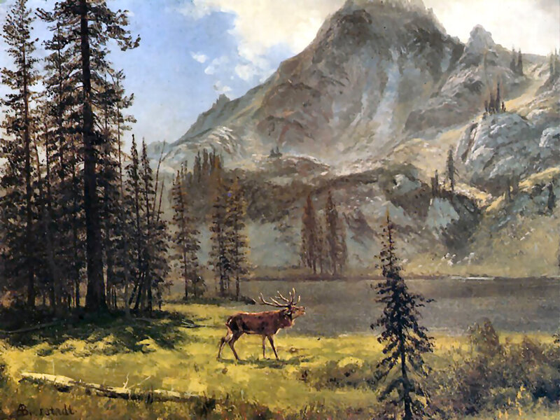 Elk in Mountain Valley — Green