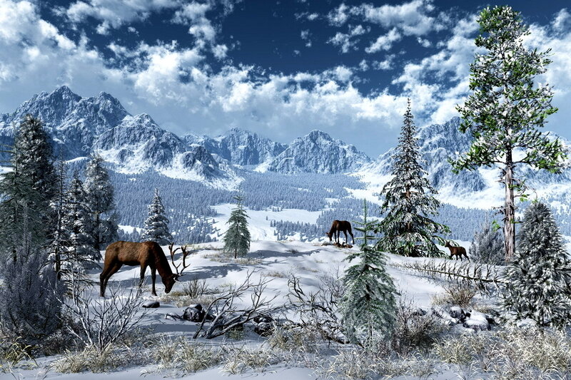 Elk in Snowy Landscape — Blue
