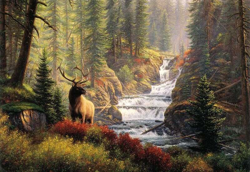Elk Near Waterfall