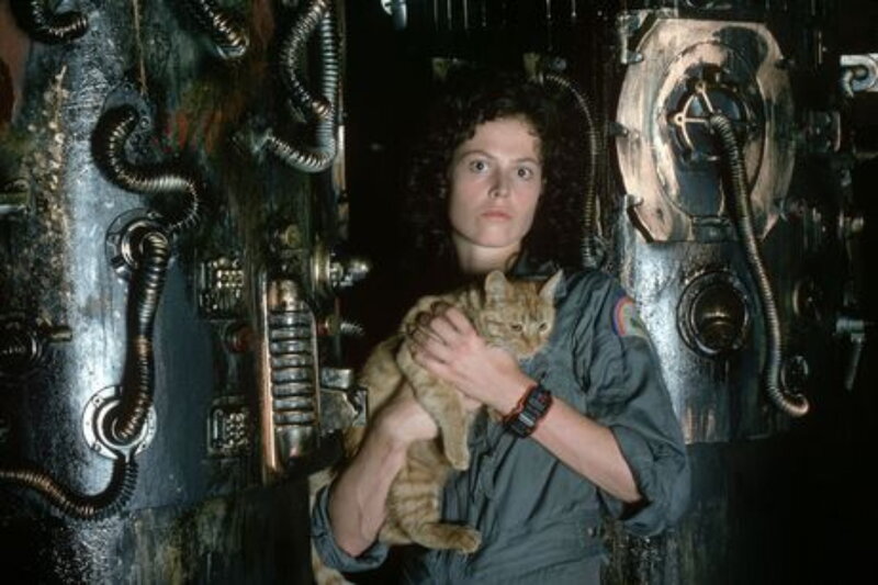 Ellen Ripley holding a cat