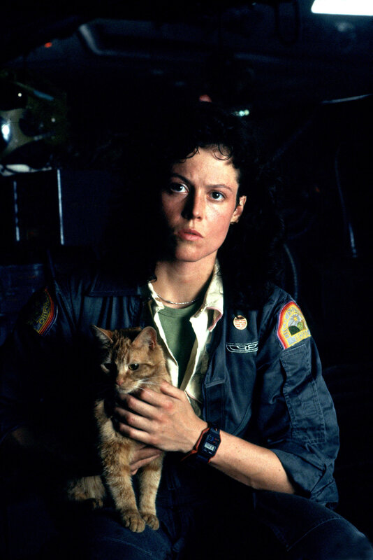 Ellen Ripley with cat in spacecraft
