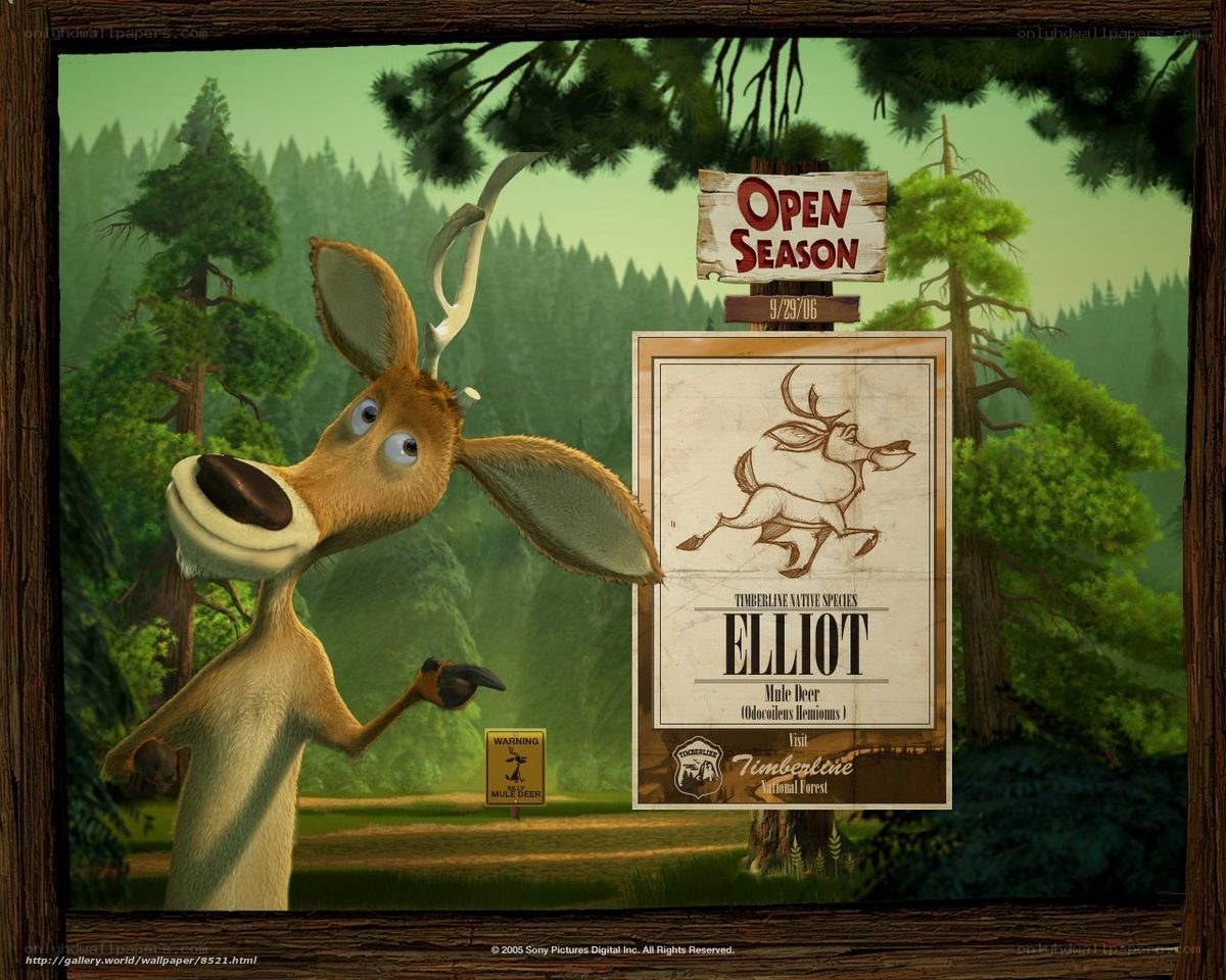 Elliot the Mule Deer