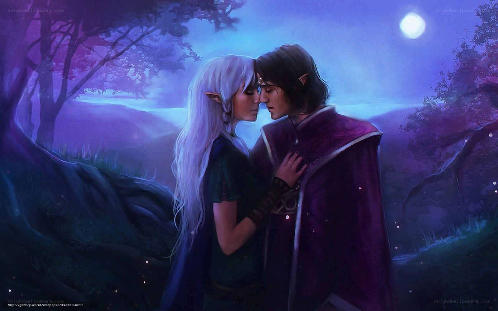 Elven couple in moonlight