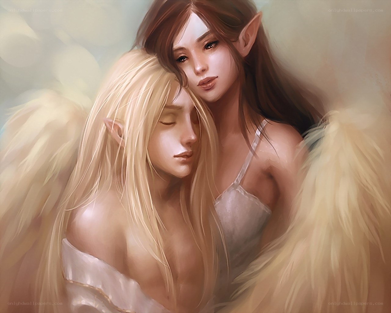 Elven couple with angel wings