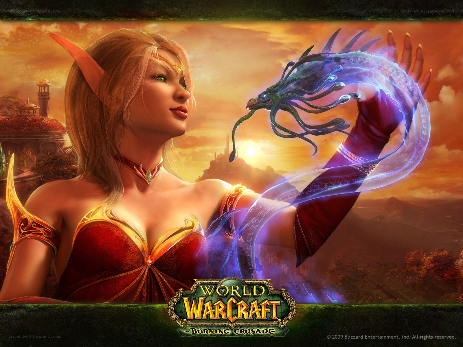 Elven mage with dragon