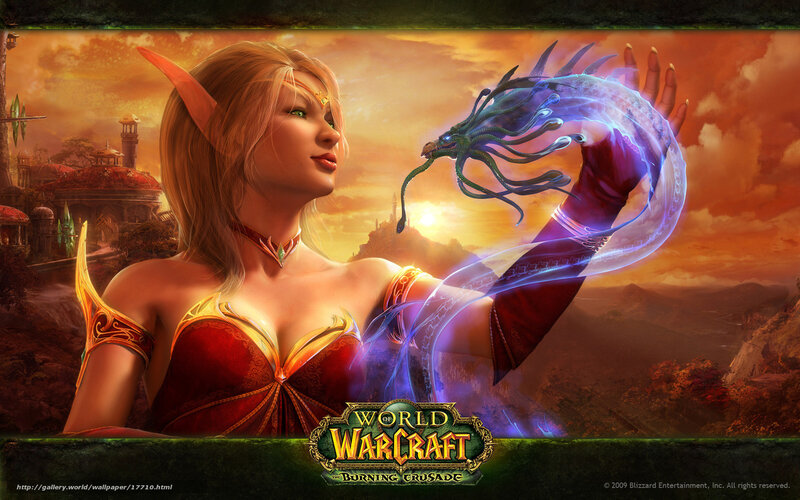 Elven mage with dragon