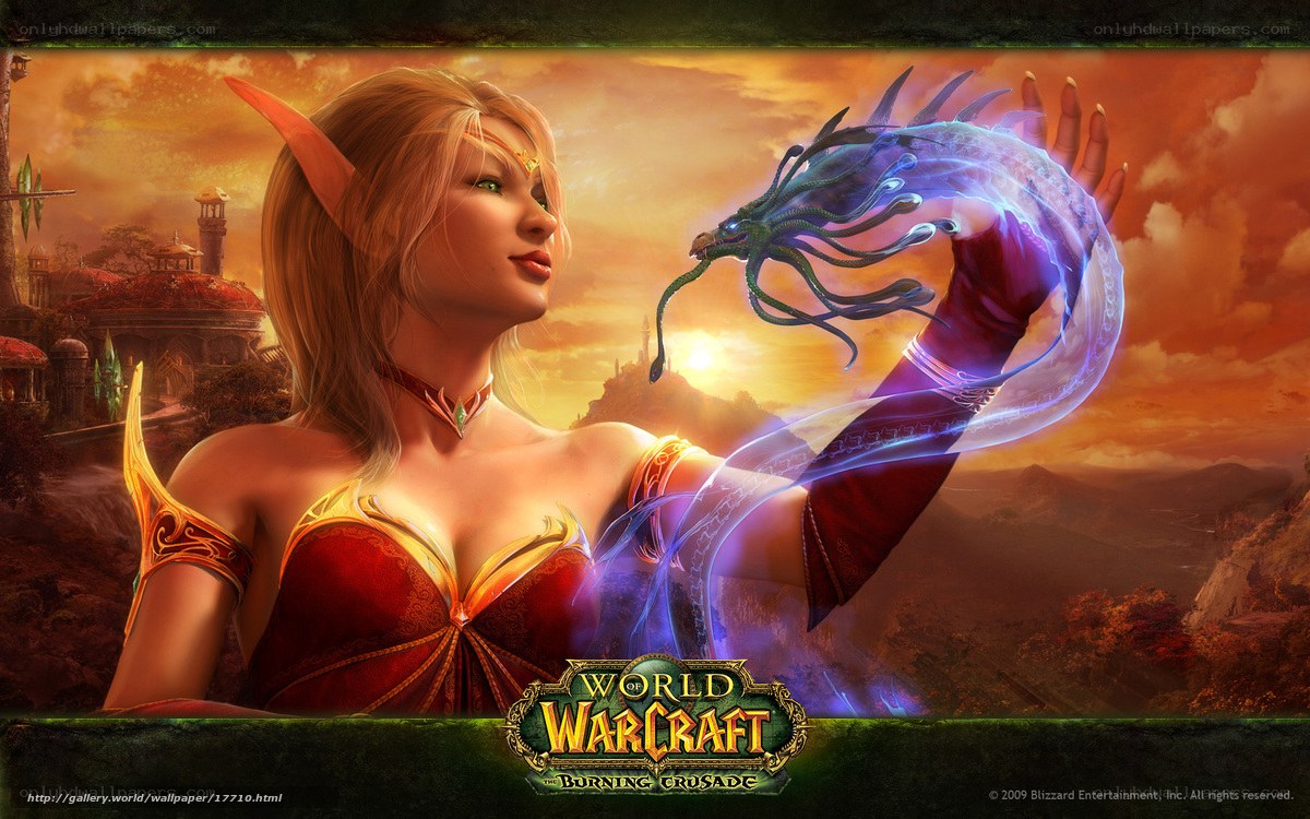 Elven mage with dragon