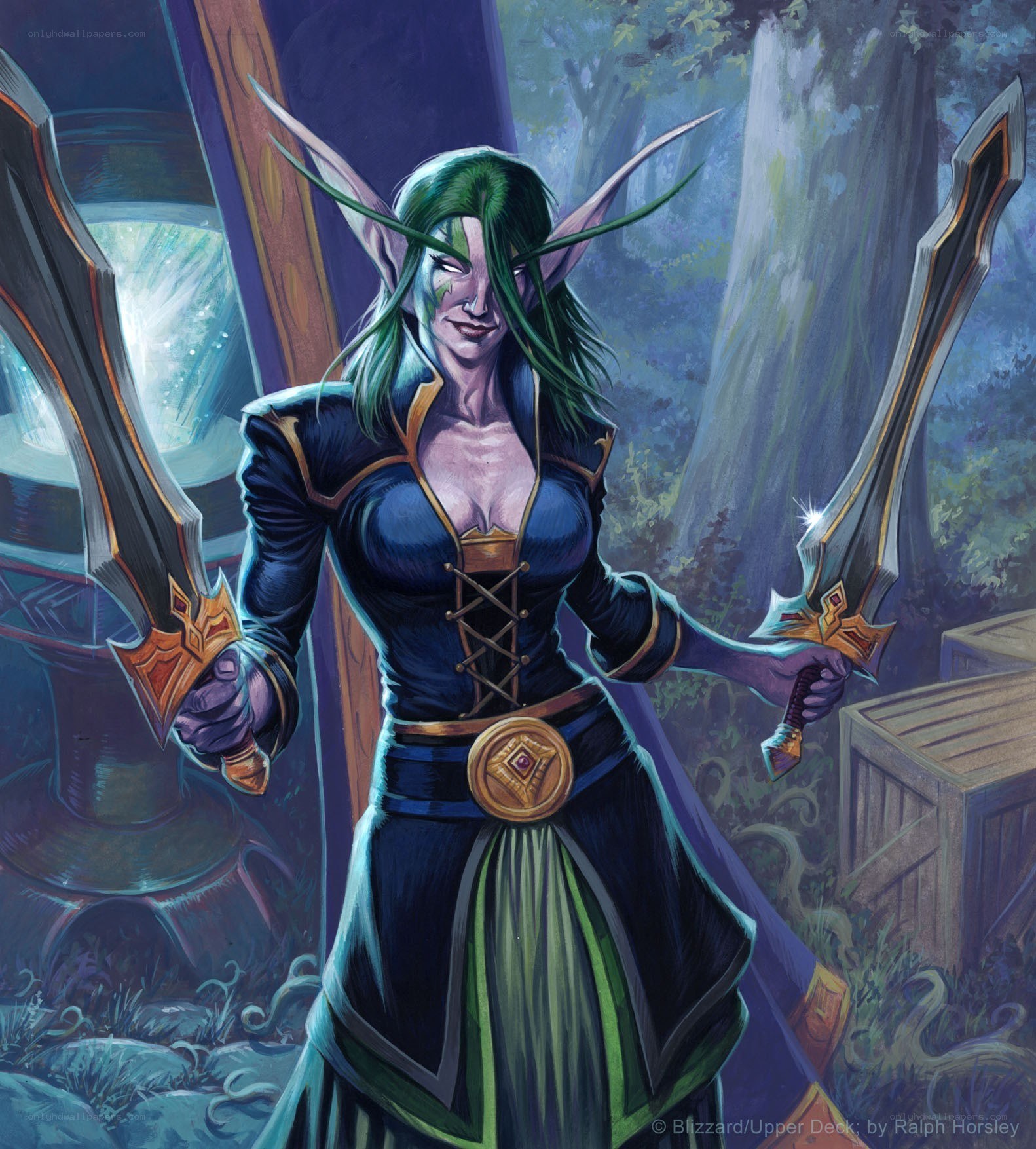 Elven warrior with dual blades