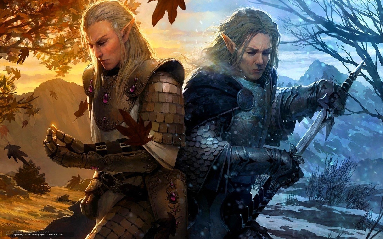 Elven warriors in contrasting realms