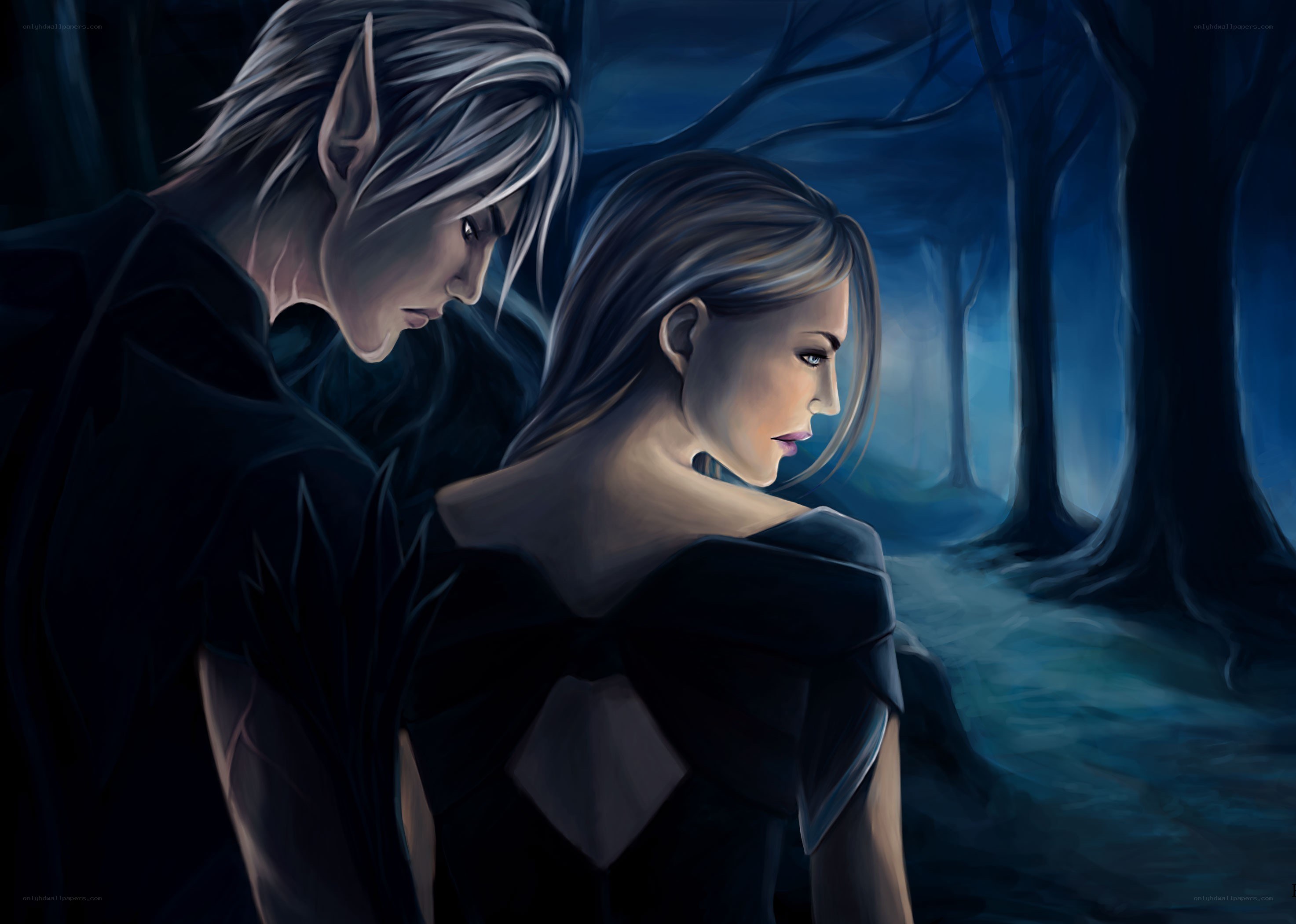 elves in a dark forest