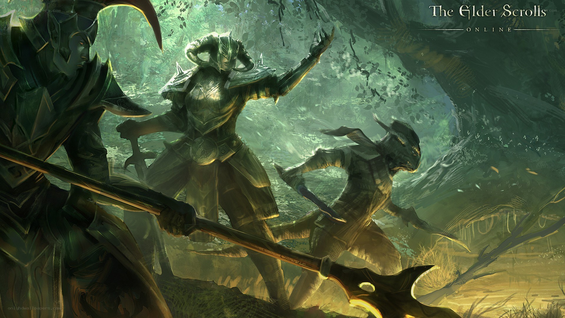 Elves in a forest battle
