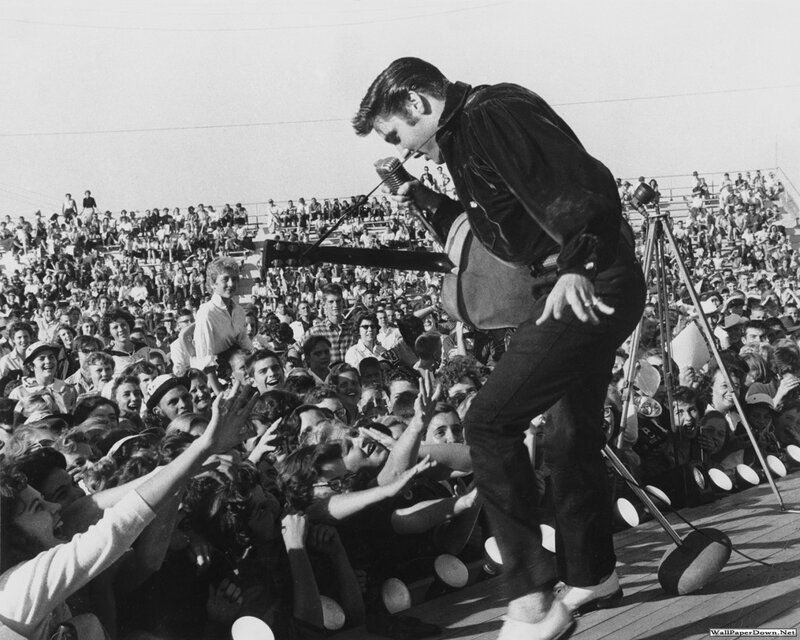Elvis Presley Performing — Black, Energetic