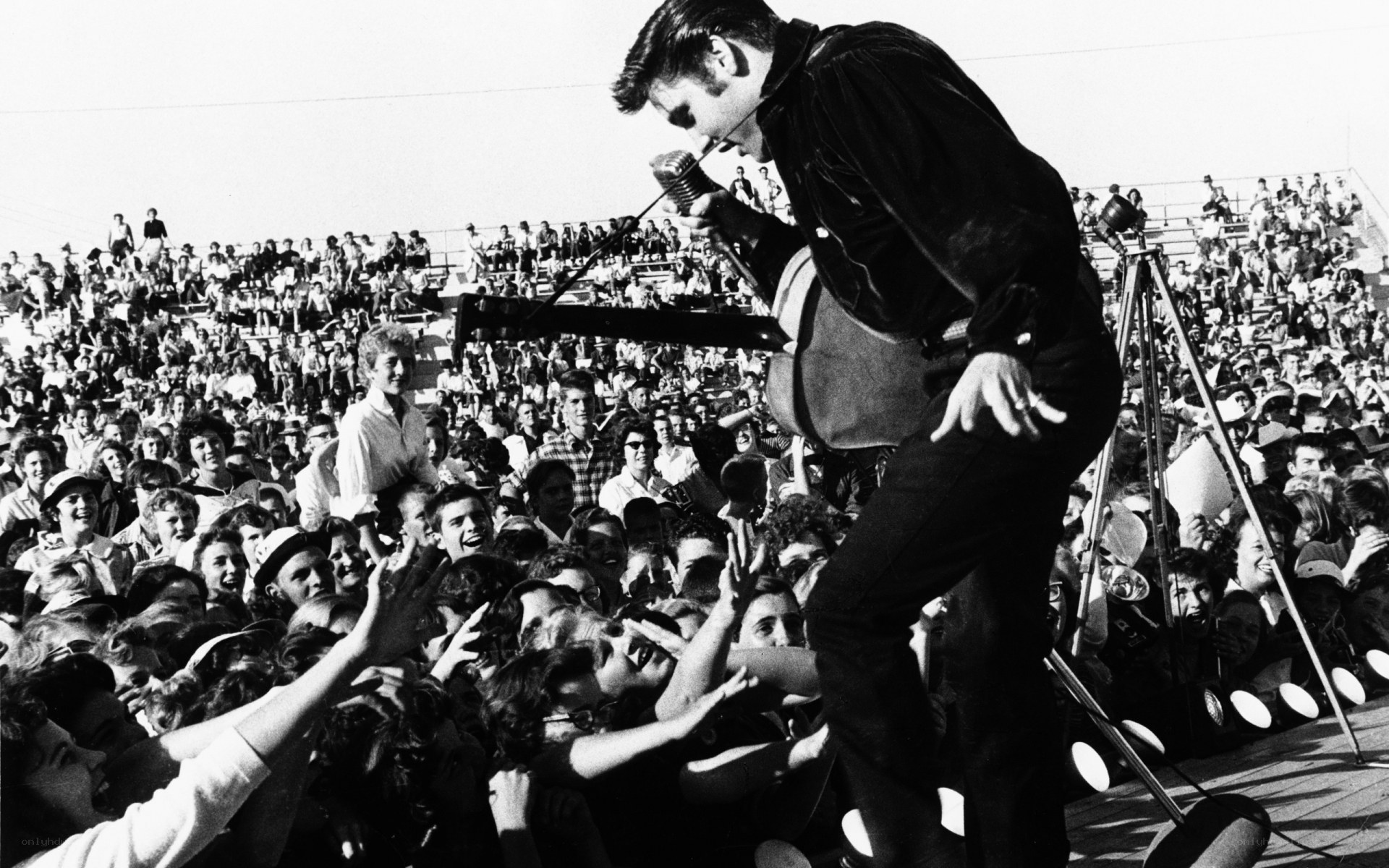Elvis Presley performs for fans