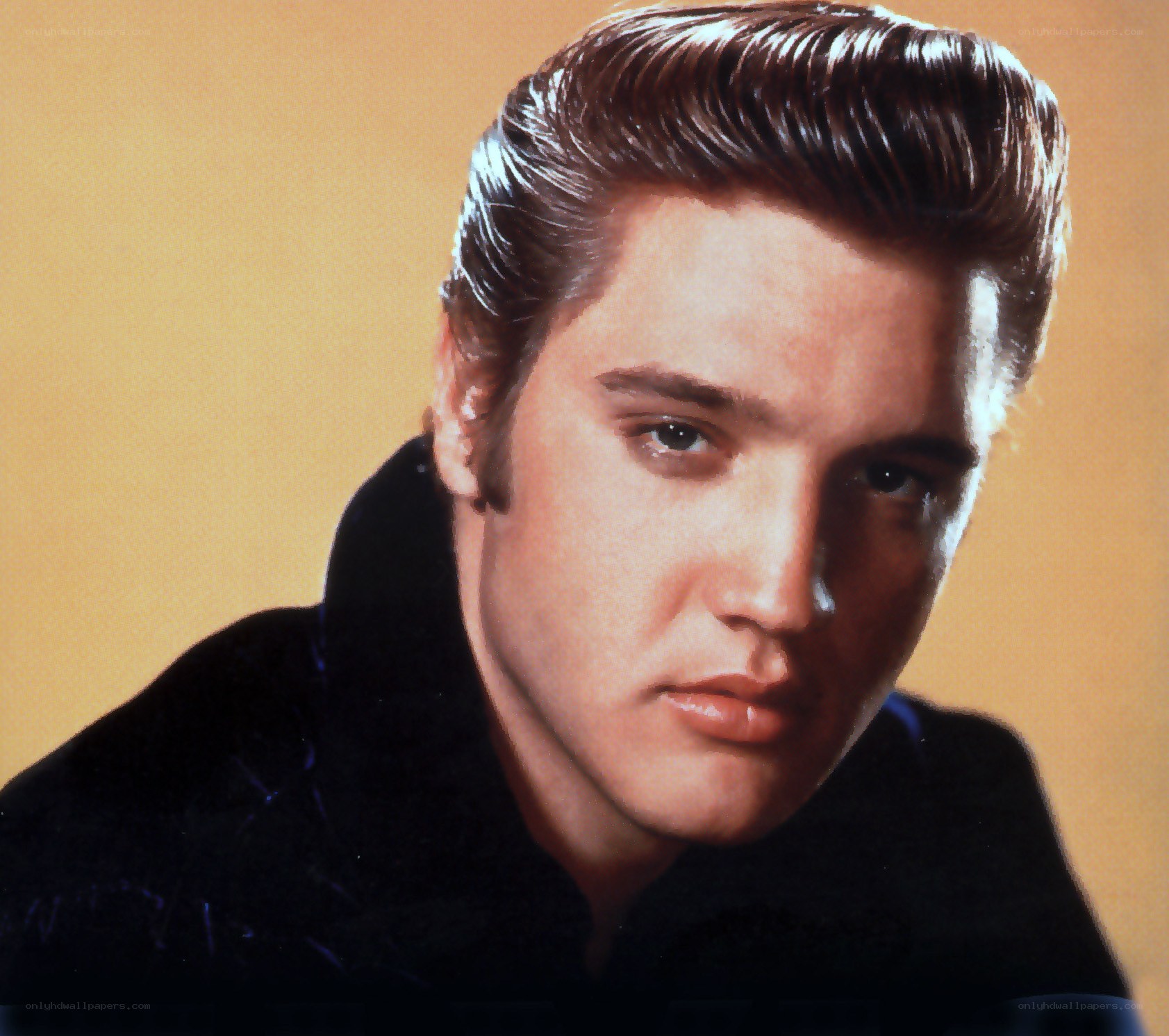 Elvis Presley portrait