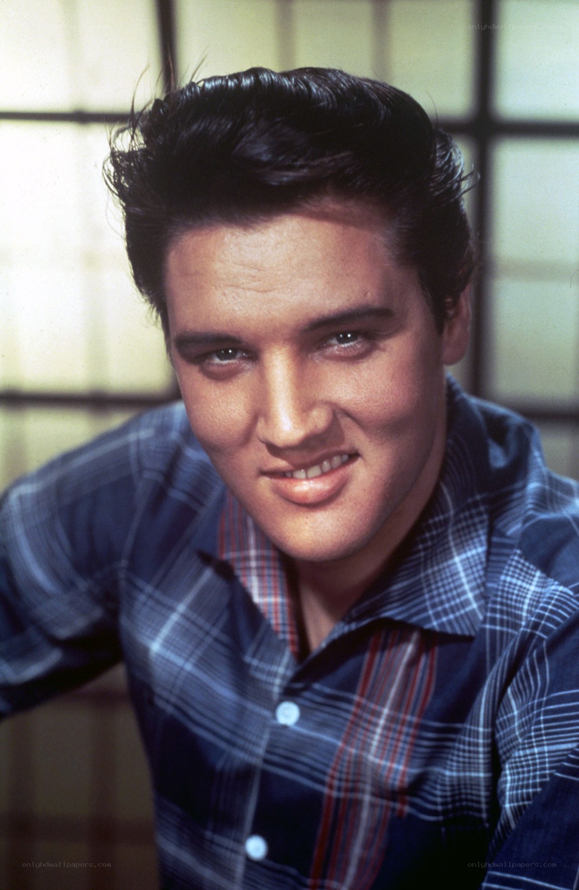 Elvis Presley portrait