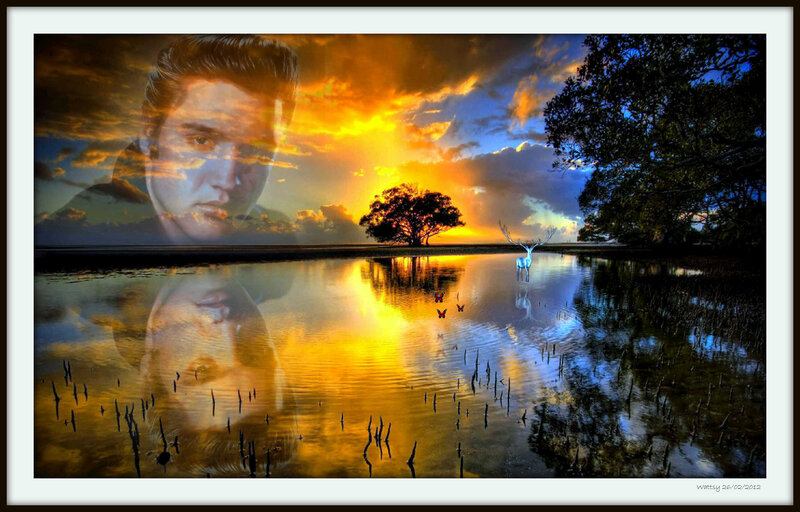 Elvis Presley Portrait — Orange