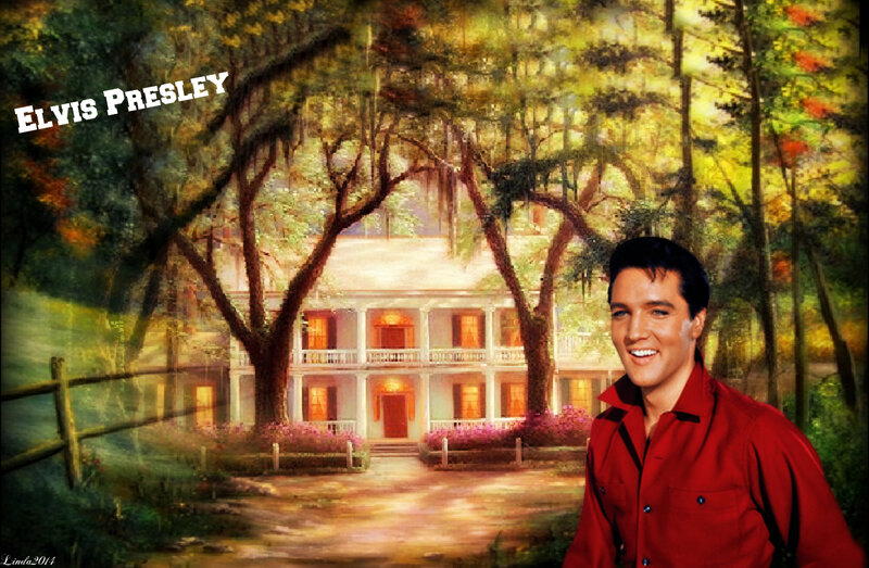 Elvis Presley Portrait — Red, Serene