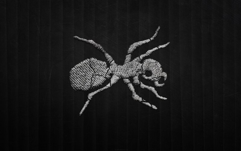 Embroidered Ant