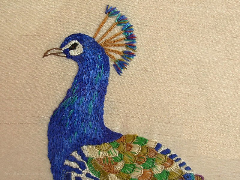 embroidered peacock design